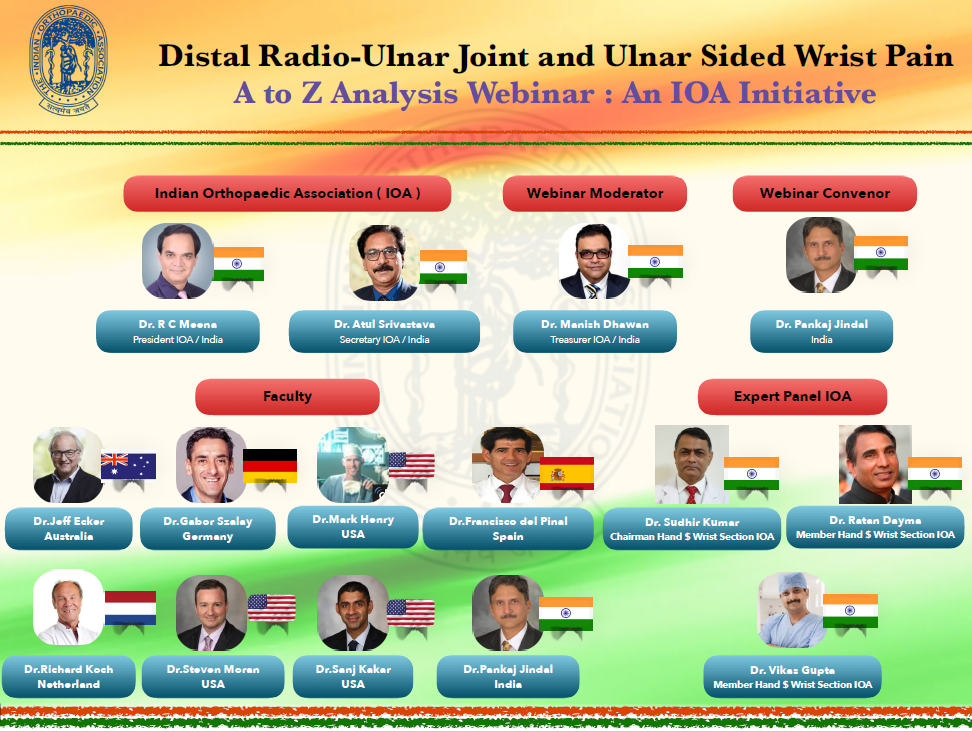 Webinar’s panel 