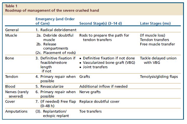 Roadmap of management of the severe crushed hand